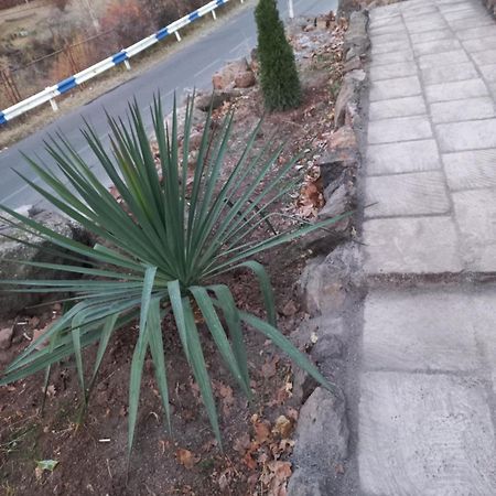 Green World Byurakan Exterior foto